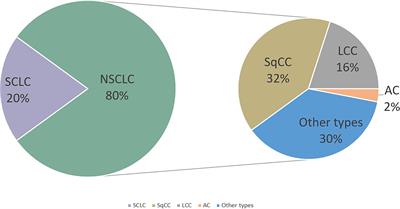 T lymphocyte cell: A pivotal player in lung cancer